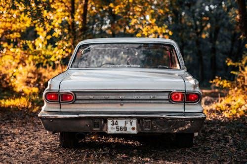 A stranded car in the middle of a forest, leaving the driver without access due to a lockout or battery failure.